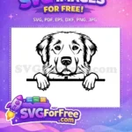 Free Cute Puppy Eyes Free Dog Peekaboo Art Free SVG 1 - Instant Download