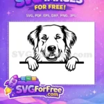 Free Cute Puppy Eyes Free Funny Peeking Dog Free SVG 2 - Instant Download