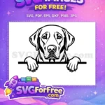 Free Cute Puppy Eyes Free Funny Pet Peeking Free SVG 1 - Instant Download