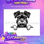 Free Cute Puppy Face Free Funny Dog Peekaboo Free SVG 2 - Instant Download