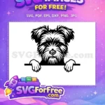 Free Cute Face Free Peeking Dog Family Free SVG - Instant Download