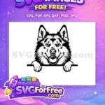 Free Cute Puppy Face Free Peeks Funny Dog Free SVG - Instant Download