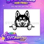 Free Cute Eyes Free Funny Dog Peeking Window Free SVG - Instant Download