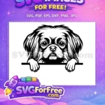 Free Cute Puppy Eyes Free Window Peek Animal Free SVG - Instant Download
