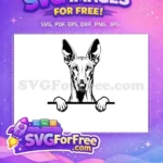 Free Cute Dog Face Free Peeking Design Pet Free SVG 1 - Instant Download