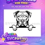 Free Peeking Pitbull Dog Free Loyal Face Vector Free SVG - Instant Download
