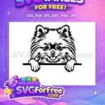 Free Fluffy Peeking Pomeranian Free Happy Smiling Face Dog Free SVG - Instant Download
