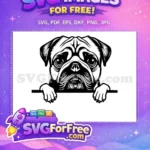 Free Peeking Pug Dog Free Black Silhouette Cute Pet Face Free SVG - Instant Download