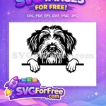 Free Cute Dog Face Free Peeking Window Funny Free SVG 36 - Instant Download