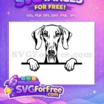 Free Dog Face Free Peeking Cute Pet Free SVG - Instant Download