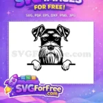 Free Cute Dog Face Free Peeking Labrador Dog Free SVG - Instant Download