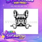 Free Cute Puppy Face Free Peeking Dog Art Free SVG 17 - Instant Download