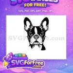 Free Funny Dog Face Free Cute Puppy Dog Lover Free SVG - Instant Download