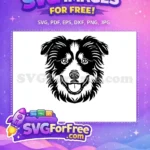 Free Peeking Border Collie Free Happy Smiling Face Black and White Dog Free SVG - Instant Download