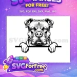 Free Peeking Cane Corso Dog Free Intense Face Clipart Free SVG - Instant Download