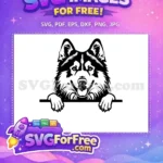 Free Cute Beagle Free Peeking Dog Animal Free SVG - Instant Download