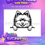 Free Cute Dog Face Free Peeking Animal Window Free SVG 7 - Instant Download