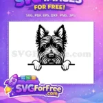 Free Cute Puppy Breed Free Nose Peek Dog Free SVG - Instant Download
