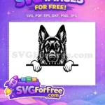 Free Cute Dog Face Free Detailed Eyes Cartoon Free SVG - Instant Download