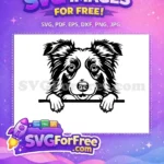 Free Peeking Border Collie Free Happy Dog Face Border Collie Free SVG - Instant Download
