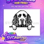 Free Peeking English Cocker Spaniel Free Sad Eyes Peeking Dog Free SVG - Instant Download