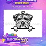 Free Cute Face Free Peeking Dog Window Free SVG - Instant Download
