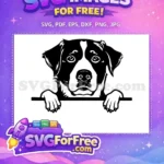 Free Sad Eyes Dog Free Peeking Paws St Bernard Free SVG - Instant Download