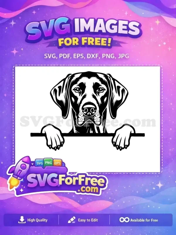Free Cute Dog Face Free Funny Puppy Peekaboo Film Free SVG Free Cute Dog Face Free Funny Puppy Peekaboo Film Free SVG