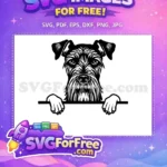 Free Peeking Schnauzer Dog Free Hairy Eyebrows and Beard Free SVG - Instant Download