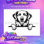 Free Happy Golden Retriever Free Peeking Paws Black White Free SVG - Instant Download