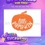 Free Orange Pumpkin Free Little Pumpkin Quotes Free SVG - Instant Download