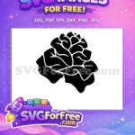 Free Rose Detail Free Rose Art Floral Free SVG - Instant Download