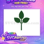 Free Green Rose Leaves Free Stem Simple Rose Free SVG - Instant Download