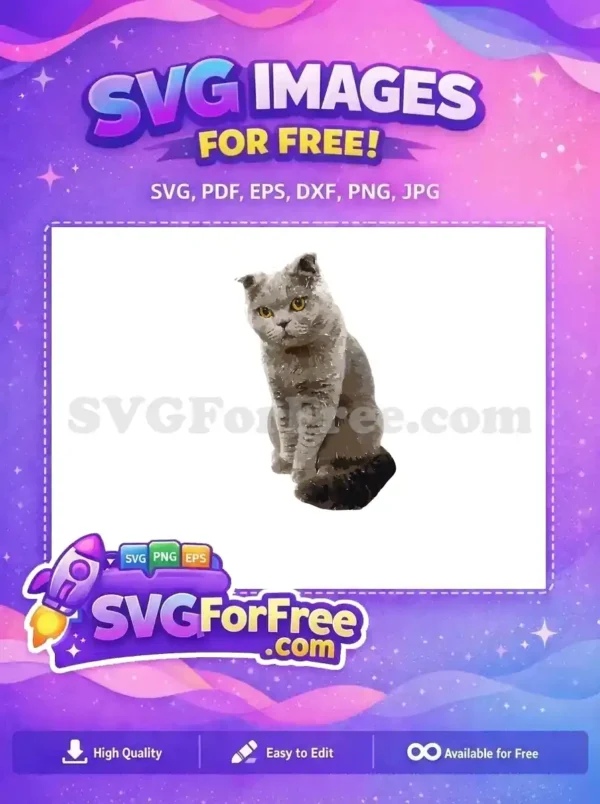 A stunning free design of a grey Scottish Fold cat with striking amber eyes, perfect for any creative project. Free for use.