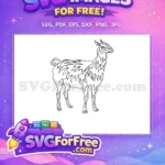 Free Llama Outline Free Intricate Patterned Animal Doodle Art Free SVG - Instant Download