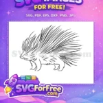 Free Black Outline Spiky Quills Free Grumpy Porcupine Animal Doodle Free SVG - Instant Download