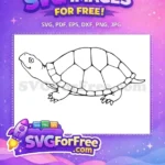 Free Smiling Turtle Free Detailed Shell Animal Doodle Free SVG - Instant Download