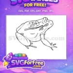 Free Cute Frog Free Detailed Animal Doodle Art Free SVG - Instant Download