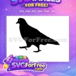 Free Black Pigeon Free Walking Bird Animal Silhouette Free SVG - Instant Download