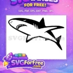 Free Sharp Teeth Free Black Outline Shark Free SVG 2 - Instant Download