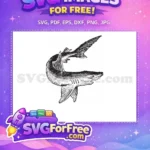 Free Detailed Fin Free Grey Scale Shark Free SVG - Instant Download