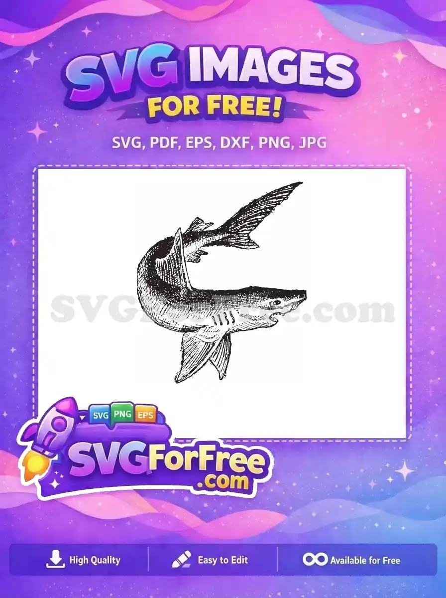 Free Detailed Fin Free Grey Scale Shark Free SVG