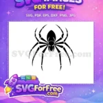 Free Detailed Leg Segments Free Halloween Spider Silhouette Free SVG - Instant Download
