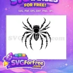 Free Black Spider Free Web Silhouette Halloween Free SVG 1 - Instant Download