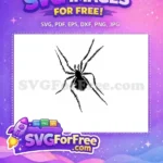 Free Spider Web Free Silhouette Halloween Free SVG 9 - Instant Download