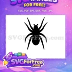 Free Spider Web Detail Free Spider Web Design Free SVG - Instant Download