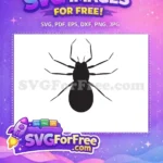 Free Eight Legs Free Arachnid Silhouette Spider Free SVG - Instant Download