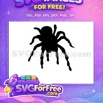 Free Spiderweb Center Free Halloween Spider Decoration Free SVG - Instant Download