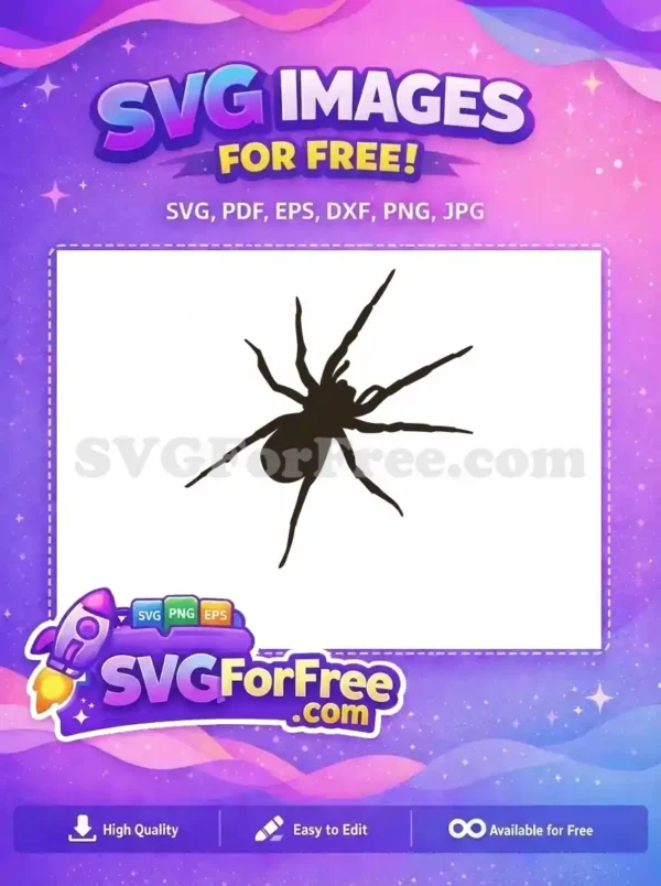 Free Detailed Arachnid Free Web Pattern Spider Free SVG
