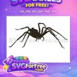 Free Pointy Legs Free Silhouette Spider Spiderweb Free SVG - Instant Download